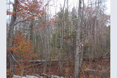 Lot 49 Mittenwald Strasse Road, Bartlett, NH 03812 - Photo 3