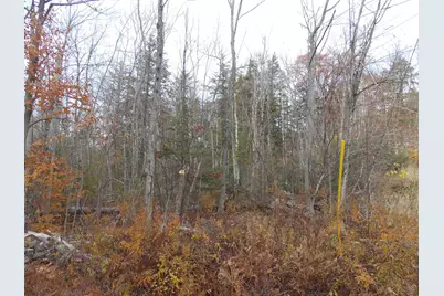 Lot 49 Mittenwald Strasse Road, Bartlett, NH 03812 - Photo 5