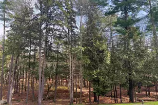 51 Singer Brook Rd, Milford, NH 03055 - Photo 45