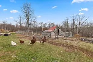 67 Lang Rd, Washington, NH 03280 - Photo 47