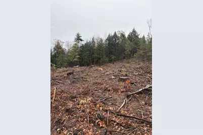 9 Sugarloaf Drive #9, Ossipee, NH 03814 - Photo 5