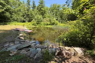 947 Foster Hill Rd, Landaff, NH 03585 - Photo 53