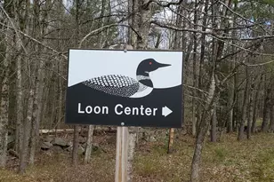 16 Buckingham Terrace, Moultonborough, NH 03254 - Photo 59