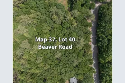 M37 L40 Beaver Road, Strafford, NH 03884 - Photo 9