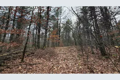 00 Deer Meadow Road, Webster, NH 03303 - Photo 1