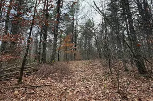 00 Deer Meadow Rd, Webster, NH 03303 - Photo 1