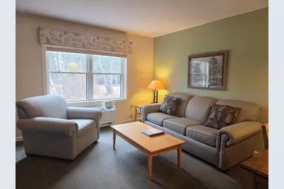 164 Deer Park Drive #160D, Woodstock, NH 03262 - Photo 9