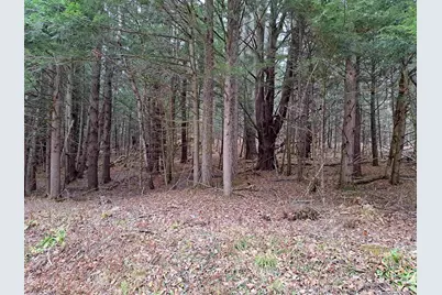 003 West Unity Road #3, Unity, NH 03743 - Photo 5