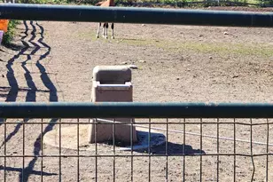 484 Old Swanzey Rd, Chesterfield, NH 03462 - Photo 57