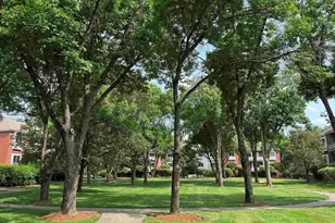 117 Cluff Crossing Rd, Salem, NH 03079 - Photo 13