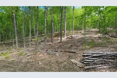 Lot 26-2 Plain Road, Hinsdale, NH 03451 - Photo 7