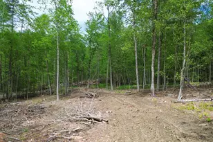 Lot 26-3 Plain Rd, Hinsdale, NH 03451 - Photo 1