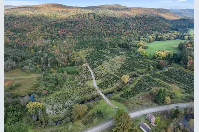 92 Bishop Brook Road, Stewartstown, NH 03576 - Photo 35