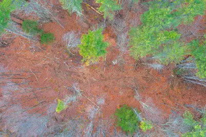 40 E Putney Brook Road, Putney, VT 05346 - Photo 31