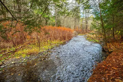 40 E Putney Brook Road, Putney, VT 05346 - Photo 3