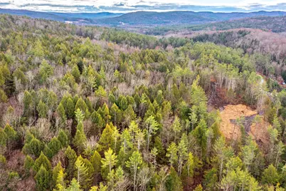 40 E Putney Brook Road, Putney, VT 05346 - Photo 33