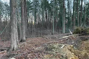 2-47 Old Amherst Rd, Mont Vernon, NH 03057 - Photo 11