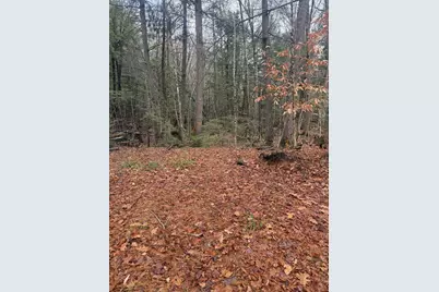 00 Partridge Hill Road #84, Sandwich, NH 03227 - Photo 1