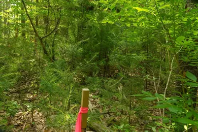 2 Lils Alley, York, ME 03909 - Photo 15