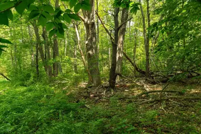 2 Lils Alley, York, ME 03909 - Photo 7