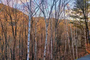 36 Easterly Rd, Lincoln, NH 03251 - Photo 17