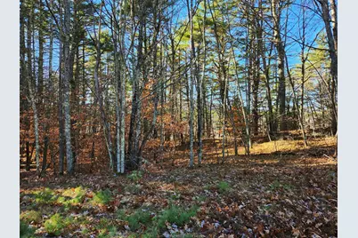 19 White Mountain Highway #19, Wakefield, NH 03872 - Photo 11