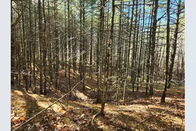 18 White Mountain Highway #18, Wakefield, NH 03872 - Photo 31