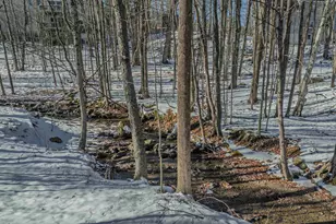 28 Jodo Way, Bethlehem, NH 03574 - Photo 39