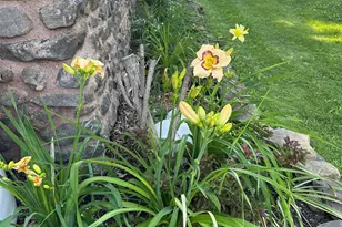 704 Hillside Ave, Berlin, NH 03570 - Photo 43