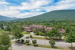 23 Black Bear Rd, Waterville Valley, NH 03215 - Photo 39