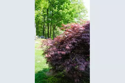 6 Mottau Drive, Lyndeborough, NH 03082 - Photo 35