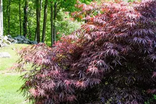 6 Mottau Dr, Lyndeborough, NH 03082 - Photo 35