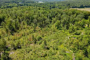 458 Cheshire Turnpike, Langdon, NH 03602 - Photo 1