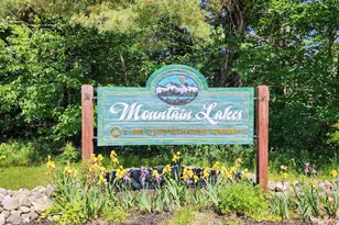 5 Windgate Terrace, Haverhill, NH 03785 - Photo 45