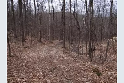 0 South Road, Woodstock, VT 05071 - Photo 19