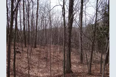 0 South Road, Woodstock, VT 05071 - Photo 13