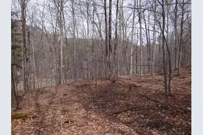 0 South Road, Woodstock, VT 05071 - Photo 9