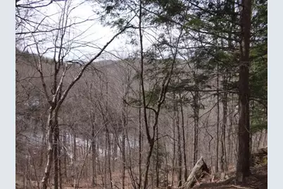 0 South Road, Woodstock, VT 05071 - Photo 5