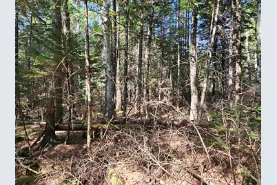 1476 Profile Road, Franconia, NH 03580 - Photo 11