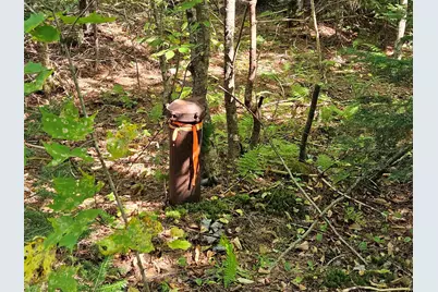 1476 Profile Road, Franconia, NH 03580 - Photo 7