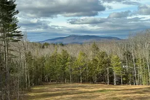 103 Temple Rd, Sharon, NH 03458 - Photo 3