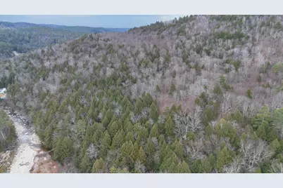 00 Route 100, Jamaica, VT 05343 - Photo 11