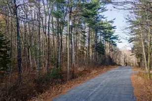 166 Prospect Hill Rd, Hancock, NH 03449 - Photo 1