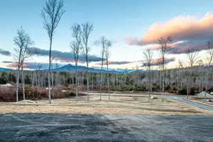 63 Whipples Way, Tamworth, NH 03817 - Photo 59