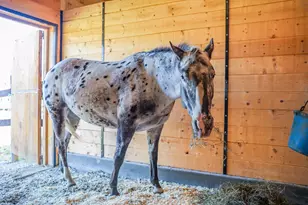 100 Cram Rd, Sanbornton, NH 03269 - Photo 37