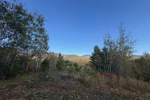 19 Village Rd, Shelburne, NH 03581 - Photo 45