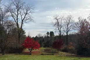 130 Watson Rd, Winchester, NH 03470 - Photo 49