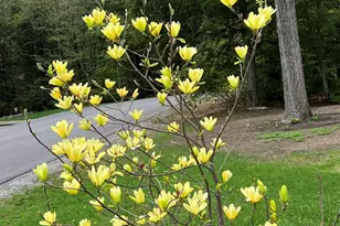 535 Darby Dr, Belmont, NH 03220 - Photo 45