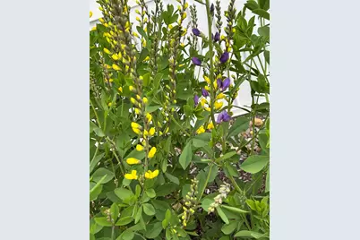 535 Darby Drive, Belmont, NH 03220 - Photo 47