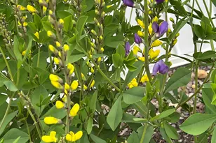 535 Darby Dr, Belmont, NH 03220 - Photo 47